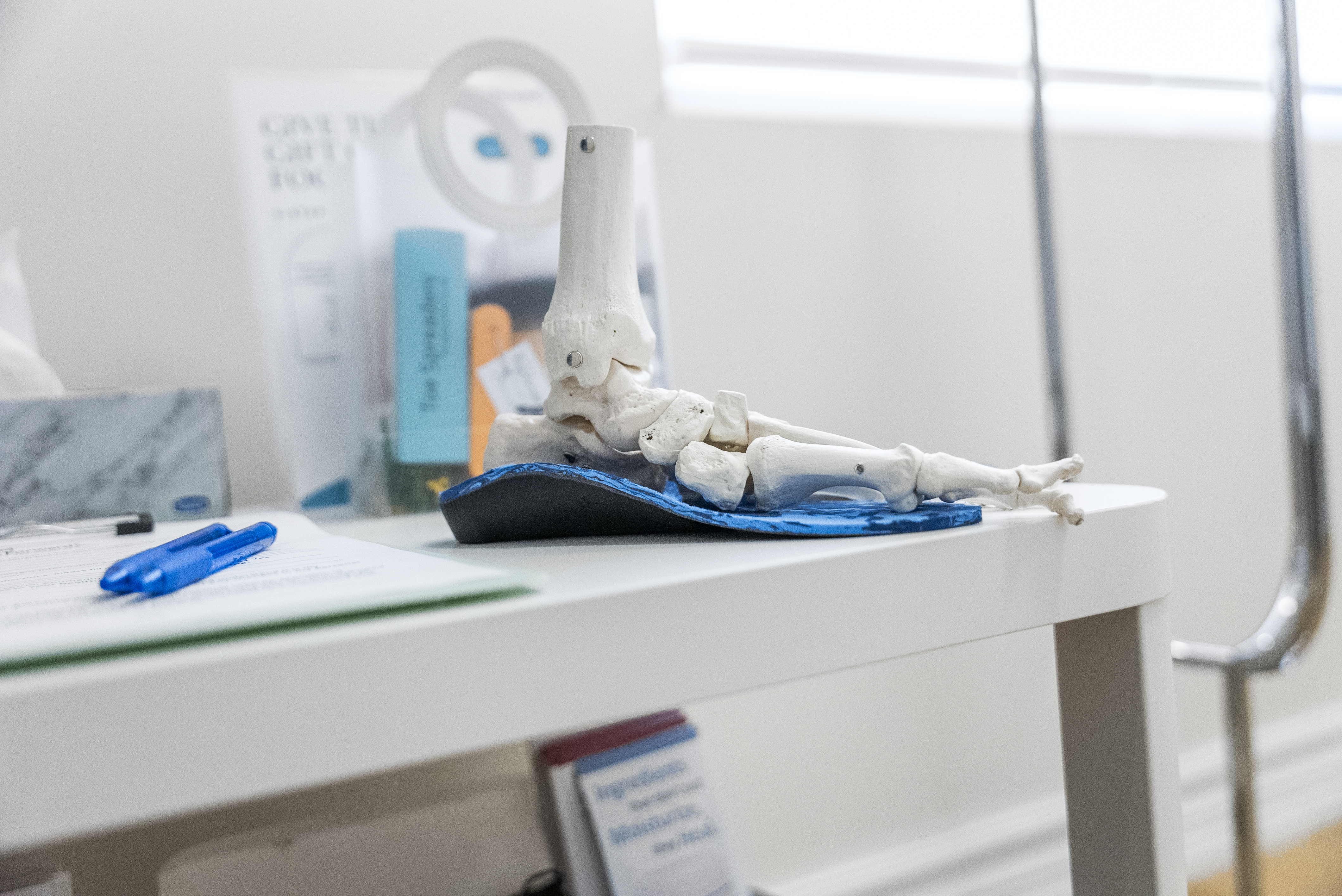 Anatomical foot model with custom orthotic demonstrating foot support